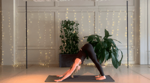 Daily Movement 11 – Yoga Flow (14 mins)