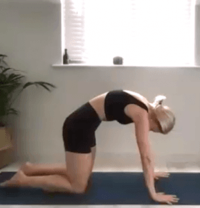 Daily Movement 19 – Glute & Core Activation (22 mins)